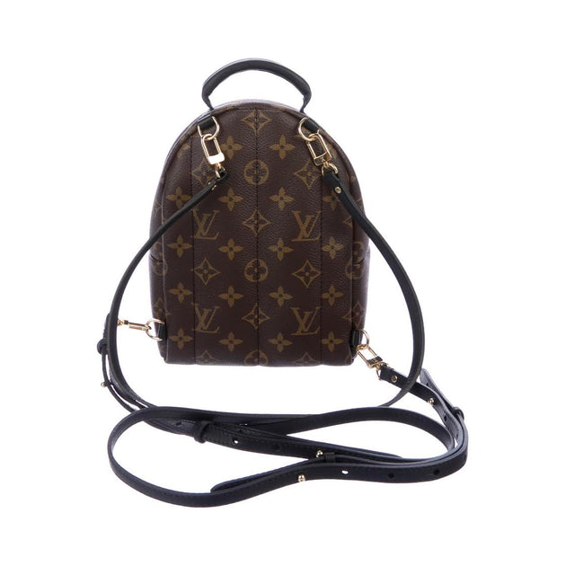 Louis Vuitton Palm Springs Monogram Mini Backpack in Brown