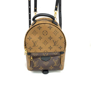 Louis Vuitton Palm Spring Mini Backpack Reverse Monogram