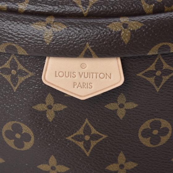 Louis Vuitton Monogram Bumbag w/ Tags